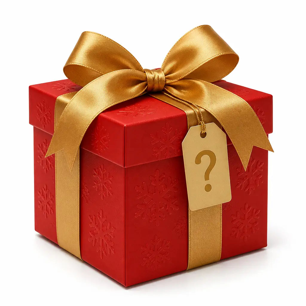 Mystery Christmas Gift